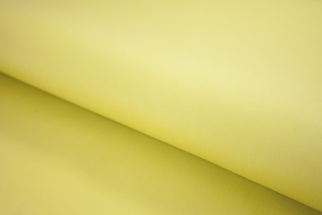 LQS 219